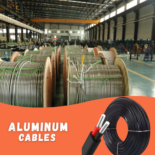 submersible cables (8)